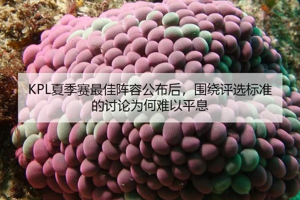 KPL夏季赛最佳阵容公布后，围绕评选标准的讨论为何难以平息